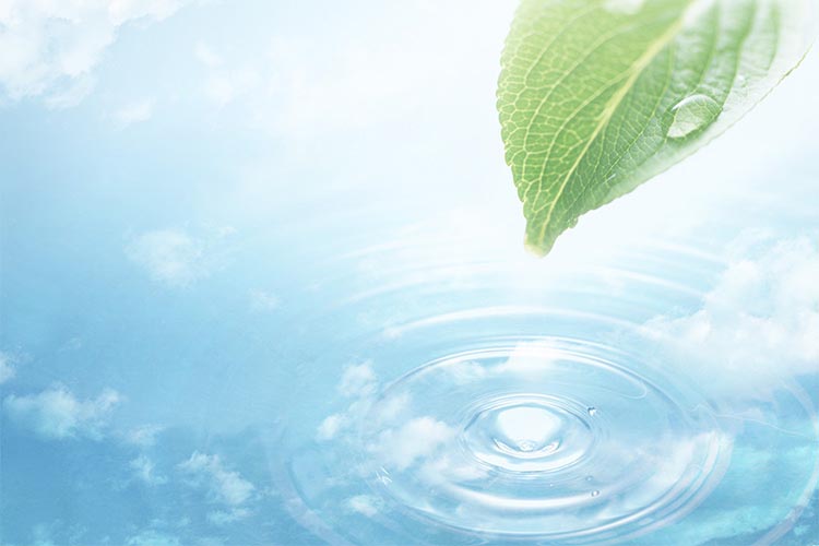 泌尿器一般イメージ画像